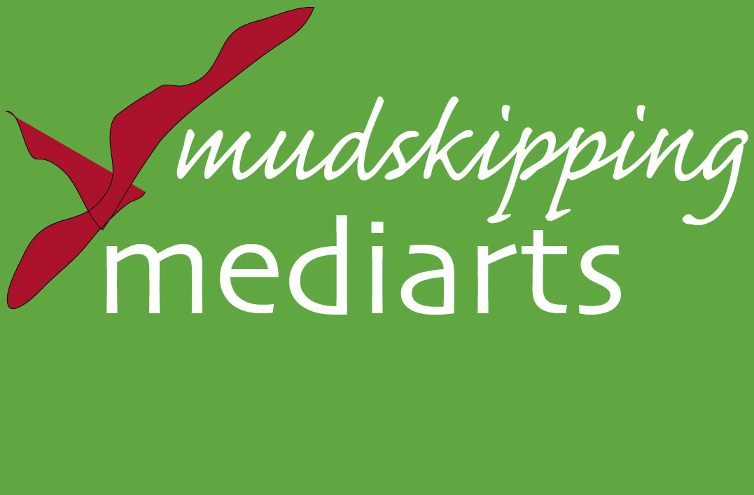 mudskipping mediarts